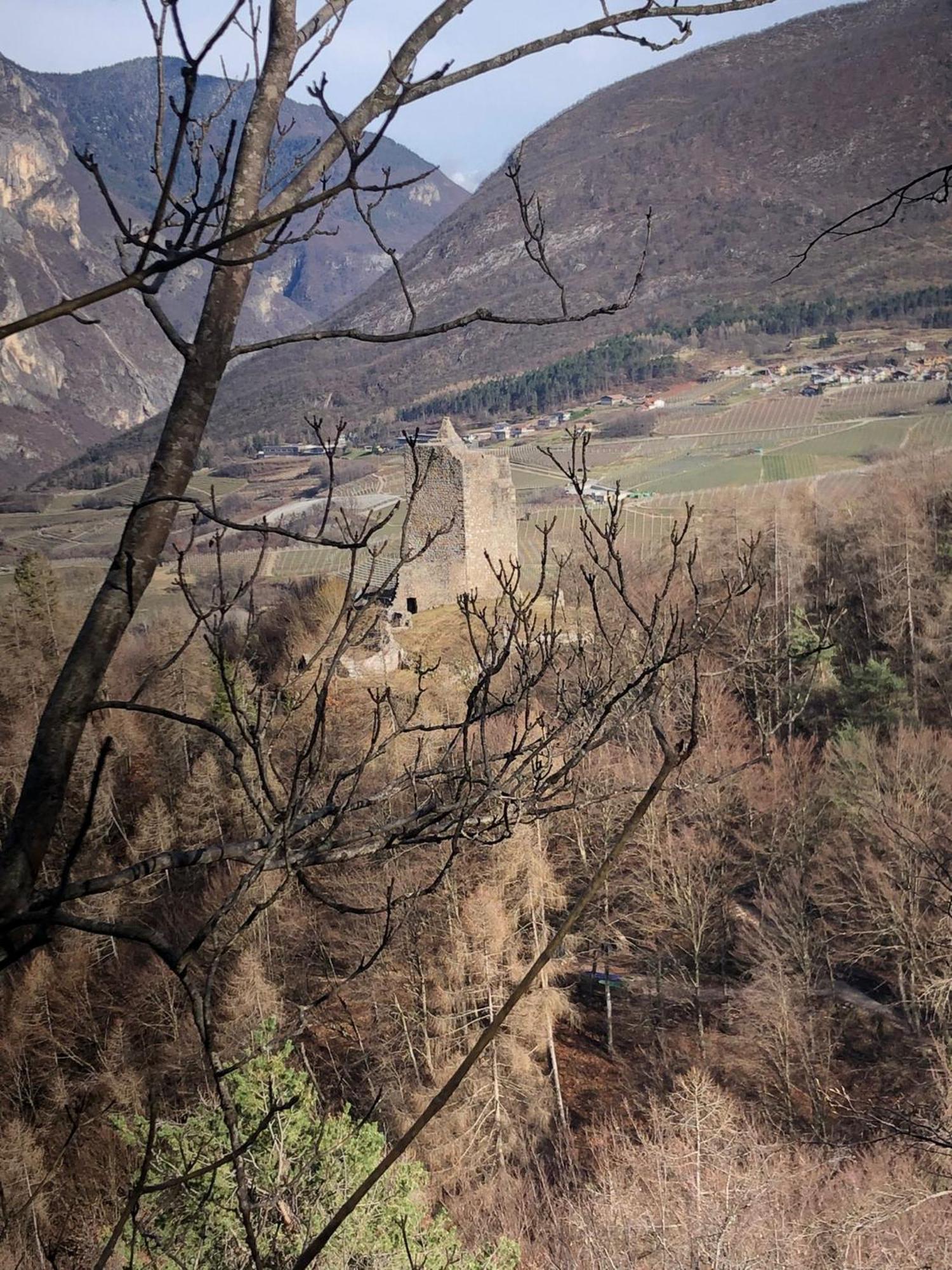 Brenta Luxury Chalet Sporminore Екстериор снимка